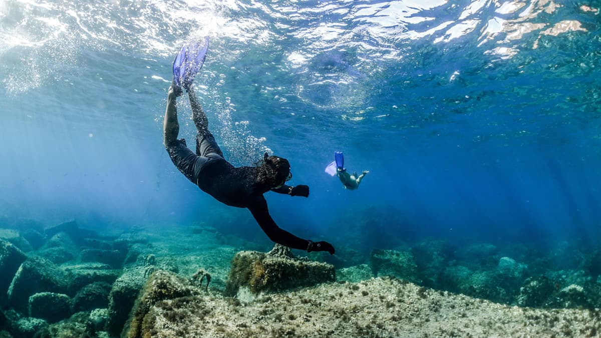 Paseos en Barco Snorkel Trip